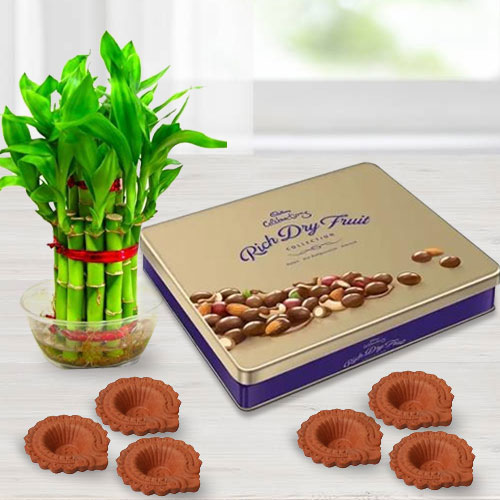 Eco Friendly Diwali Gift of Cadbury Chocolates Good Luck Bamboo Plant n Diya