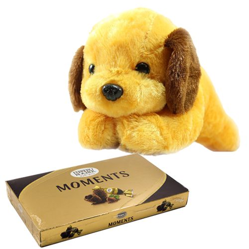Absolute Bliss Combo of Dog Soft Toy N Ferrero Rocher