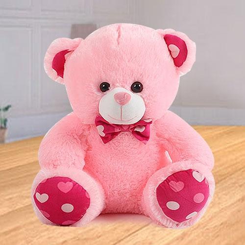 Cute 6 inch Teddy