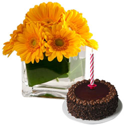 Tasty Chocolate Cake with Candles and Gerberas in Vase