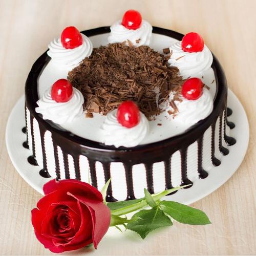 Mouth Watering Black Forest Cake N Single Red Rose Combo