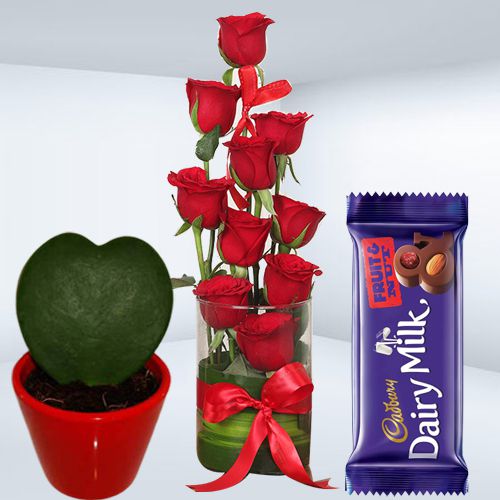 Hearty Choice Red Roses in Vase Hoya Heart Plant n Cadbury Fruit n Nut