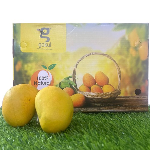 Delicious Alphonso Mango Box