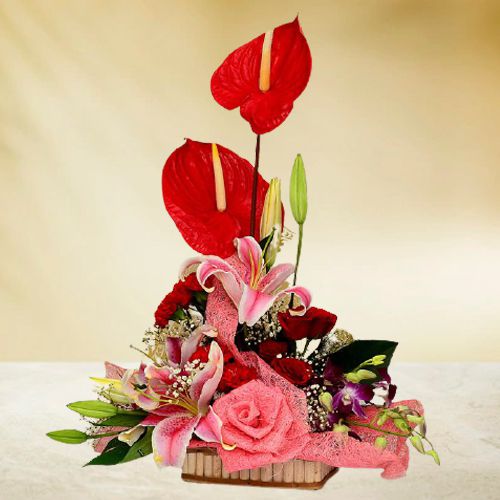 Fabulous Floral Treat from Paradise