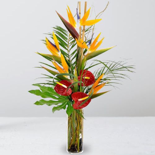 Lovely Arrangement of Birds of Paradise  N  Anthurium
