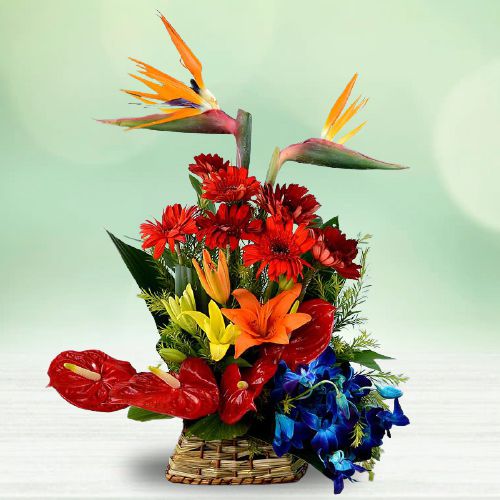 Exclusive Mixed Color Flowers Basket