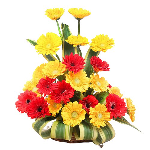 Mixed Color Roses in a Vase