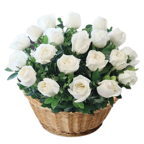 A Cool Breeze White Roses Basket