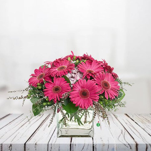 Lovely Bunch of Pink Gerberas