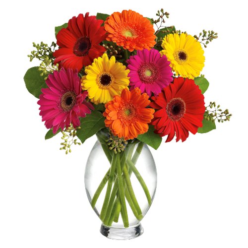 Vibrant Mixed Gerberas in Glass Vase