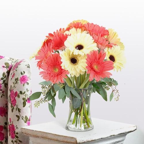 Enigmatic Freshness Gerbera Assemblage