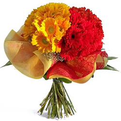 Vivid Purity Gerberas Special Bouquet