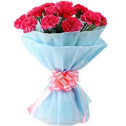 Amazing Bouquet of Pink Carnations