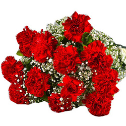 Attractive Bouquet of Red Carnations