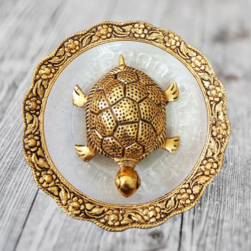 Wish Maximum Age Stability  N  Determination with Feng Shui Metal Tortoise on Plate