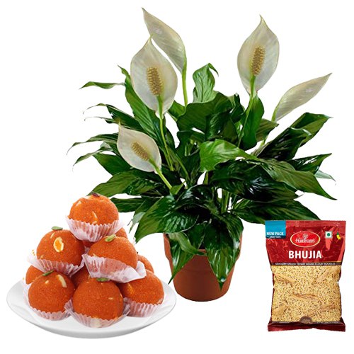 Air Purifying Peace Lily Plant n Enchanting Sweets n Snacks