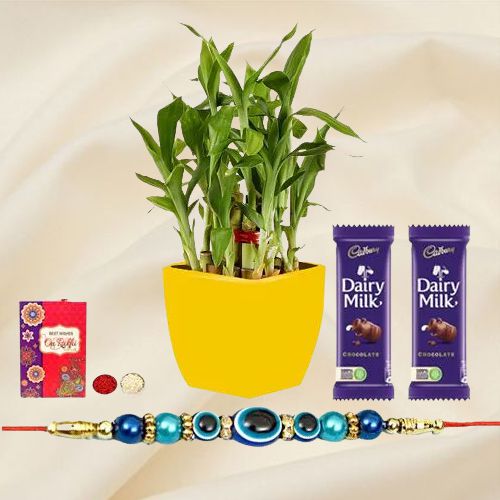 Aromatic 2 Tier Bamboo Plant with Evils Eye Rakhi