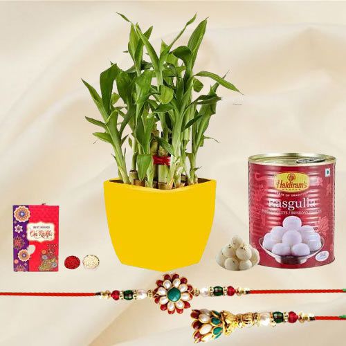 Captivating 2 Tier Bamboo Plant N Bhaiya Bhabhi Rakhi