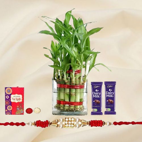 Delicate 2 Tier Lucky Bamboo Plant with Rakhi