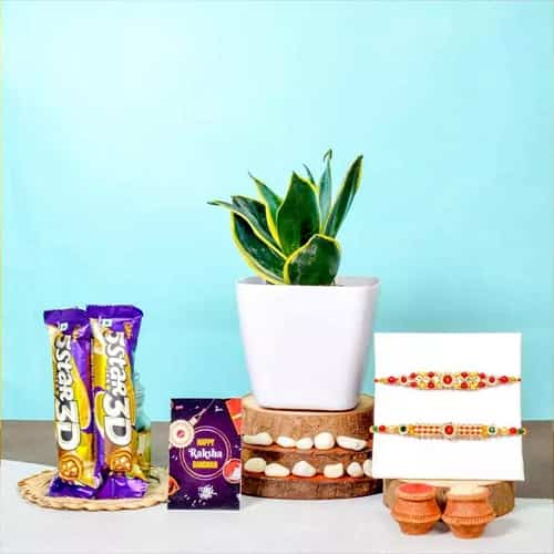 AD Rakhi and Snake Plant with Mouthfuls