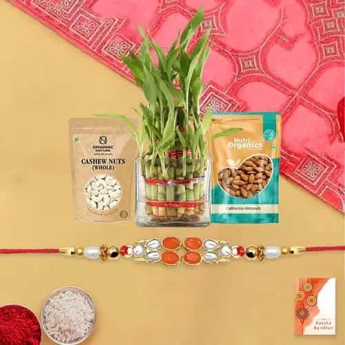 Attractive Bhai Rakhi with Dry Fruits n Bamboo Plant