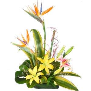Touching Appealing Charm Arrangement of Lilies and Birds of Paradise